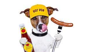 No, Dogs Can’t Eat Ketchup Safely. 3 Reasons Why Picture
