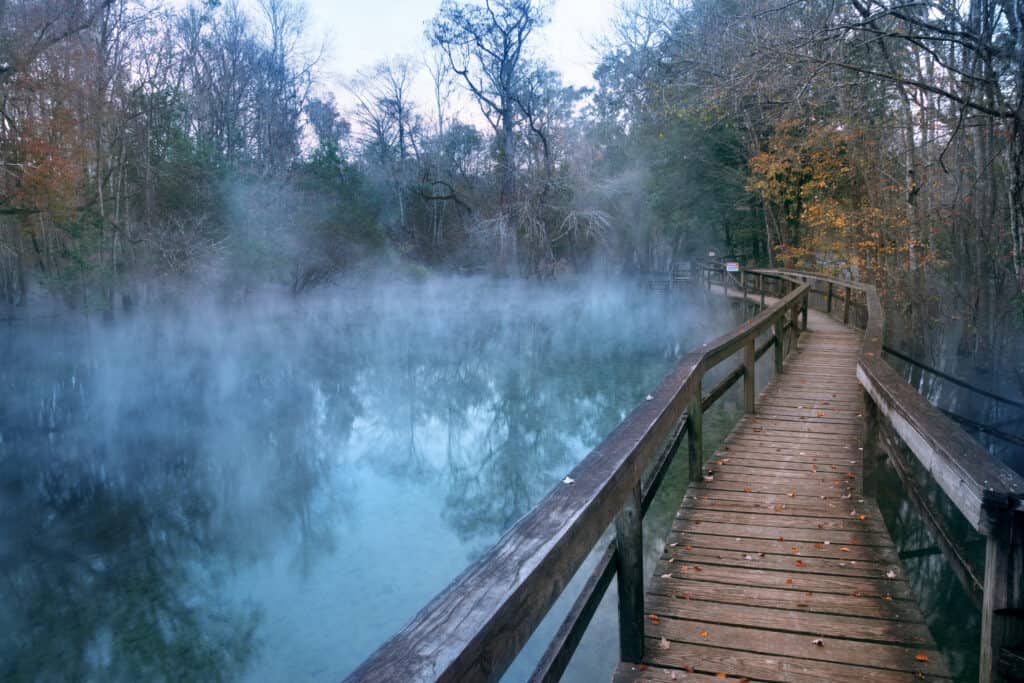 6. Gilchrist Blue Springs