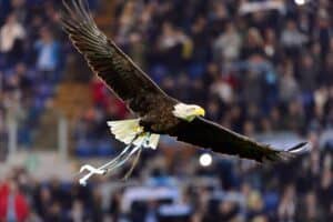 Watch ‘Challenger’ The Bald Eagle Soar into a Football Stadium in Most American Video Ever photo