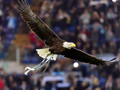 A Watch ‘Challenger’ The Bald Eagle Soar into a Football Stadium in Most American Video Ever
