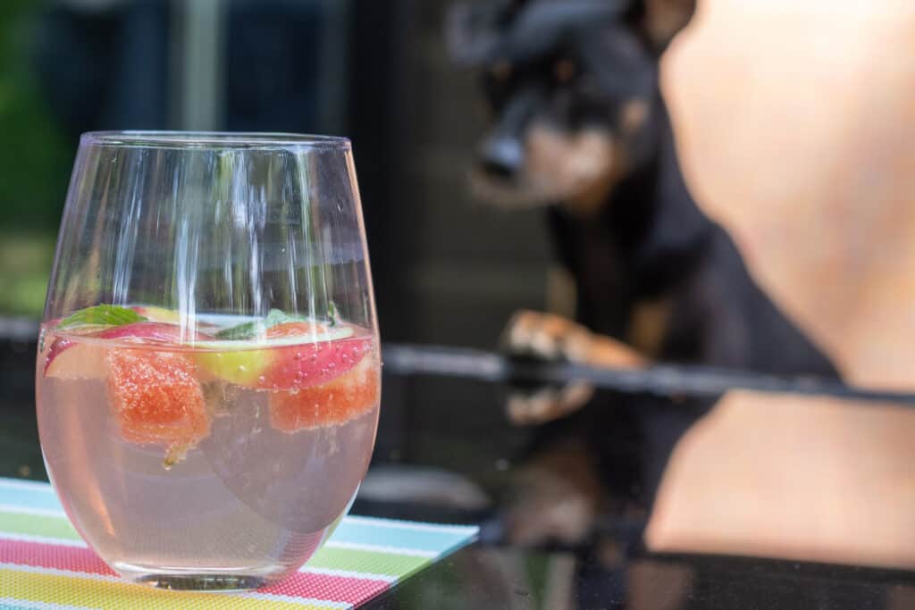 sparkling water with dog in the background