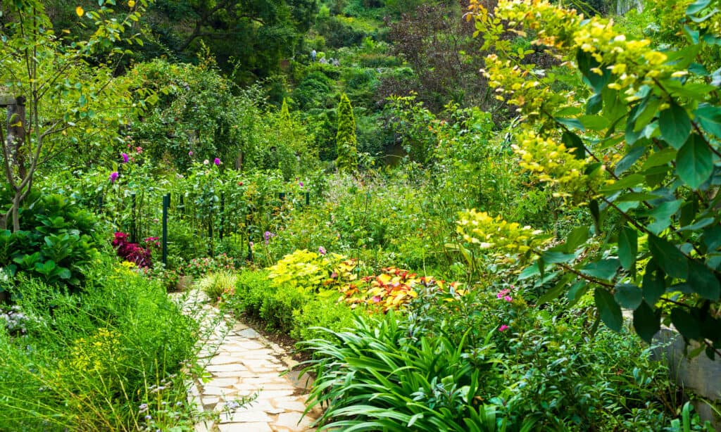 Akao Herb & Rose Garden