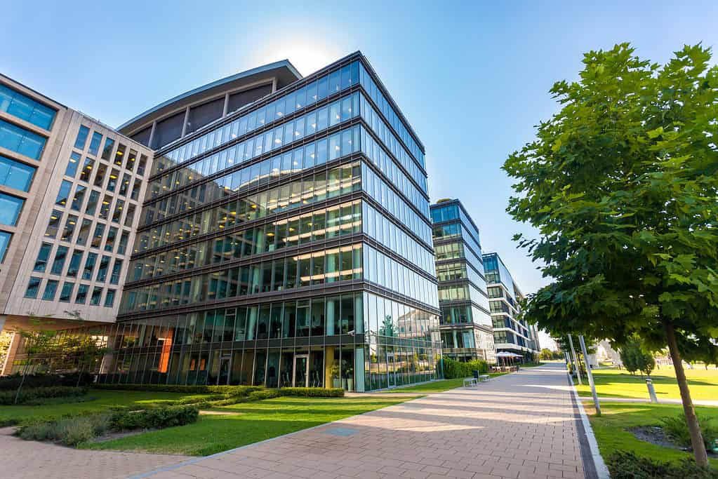 A cityscape with three 8-10  story buildings frame left to center frame. France right has greenery. theirs is paved brick pomade/ walkway separating the buildings from the grass and trees. 