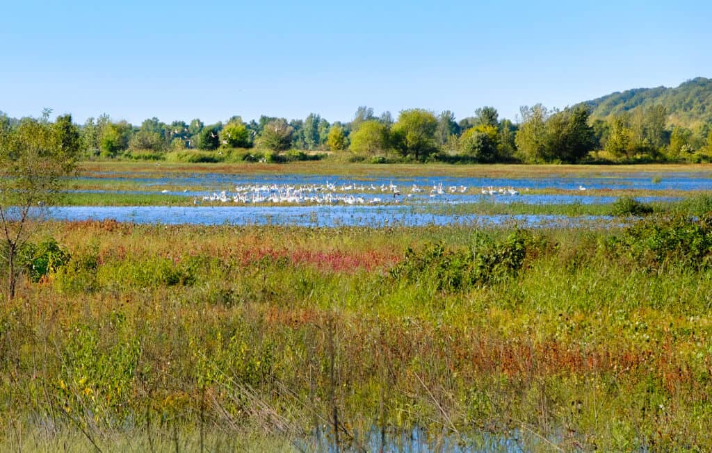 The Missouri River provides natural floodplains