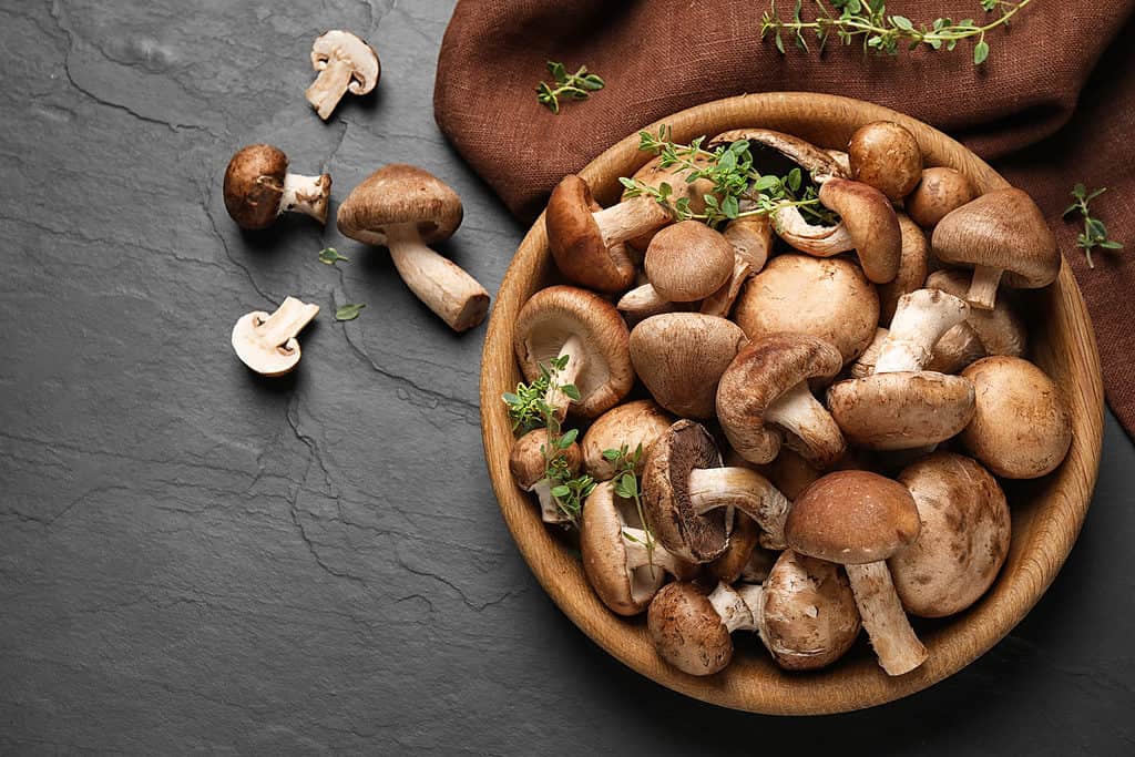 Shiitake mushrooms in a bowl with herbs