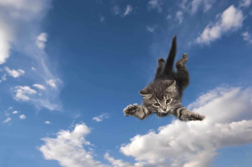 Gray tabby cat flies like superman with a blue cloudy sky backdrop