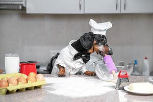Can Dogs Eat Flour? Picture