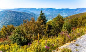 Discover the Highest Point in Massachusetts Picture