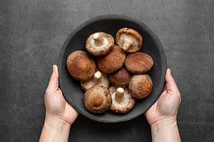 4 Types of Brown Mushrooms Picture