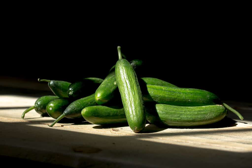 Fresh cucumber sitting on wooden surface