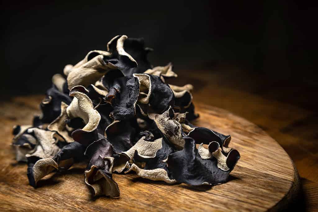 Dried wood ear mushrooms