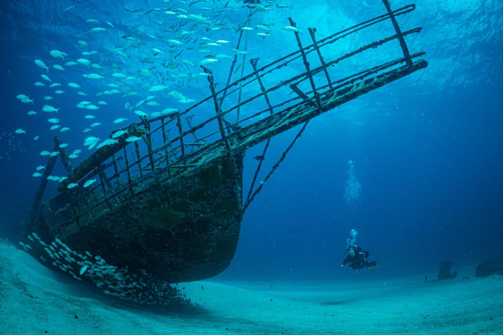 View of underwater shipwreck surrounded by fish