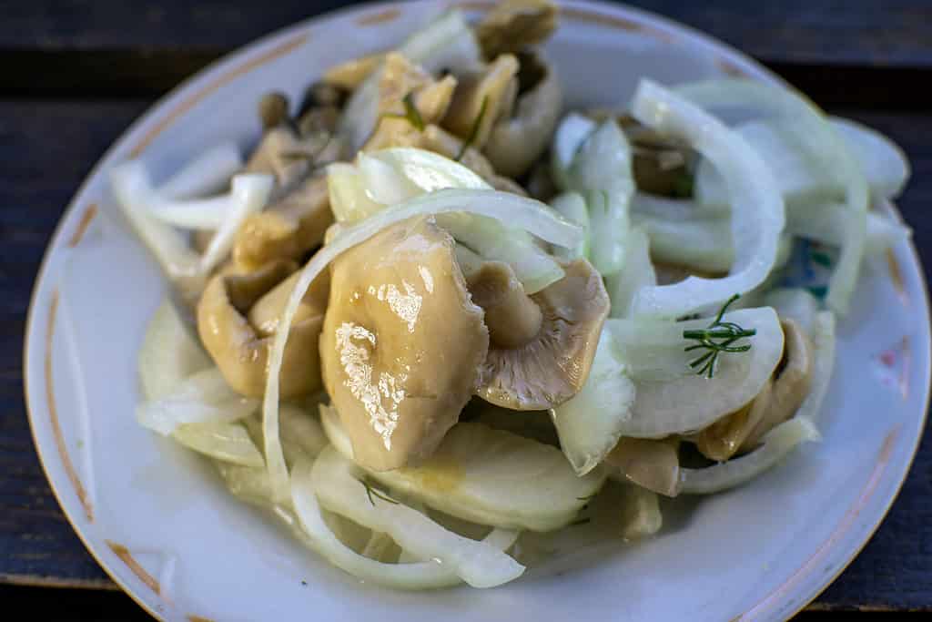 Russula mushrooms sauteed with onions and herbs
