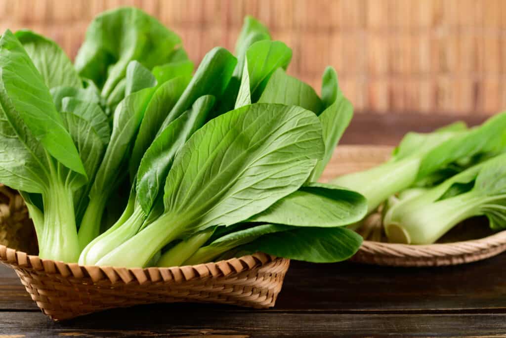 Fresh Bok choy. six separate green plants with large oval leaves with obvious veins lay in a woven reed basket, behind them, three more bok plant rest on a woven reed plate. Background go out-of-focus rattan wall.