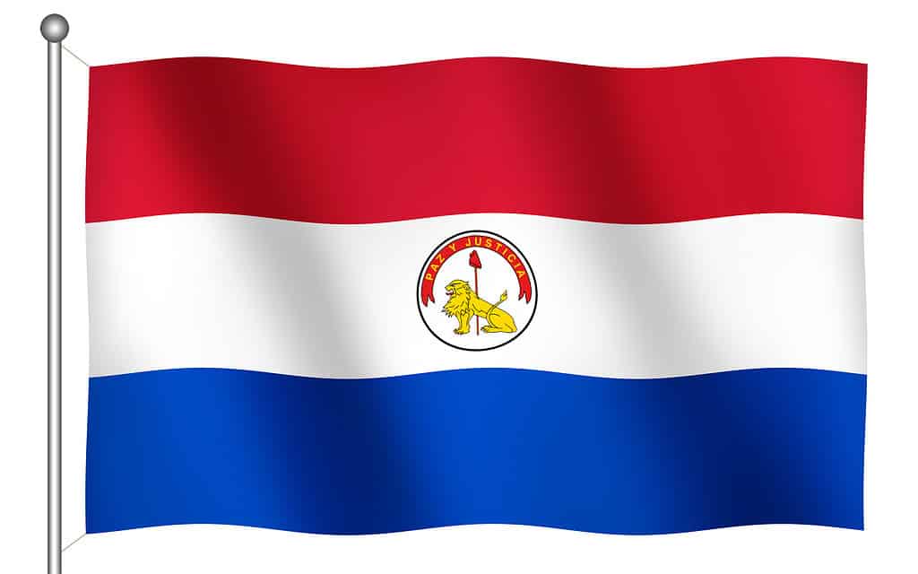 Flag of Paraguay Waving (Reverse Side) 