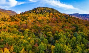 Discover the Highest Point in Vermont photo