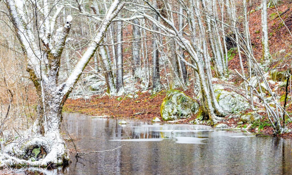 first snow in pennsylvania