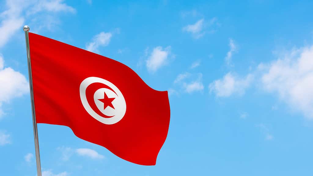 Tunisia flag on pole.
