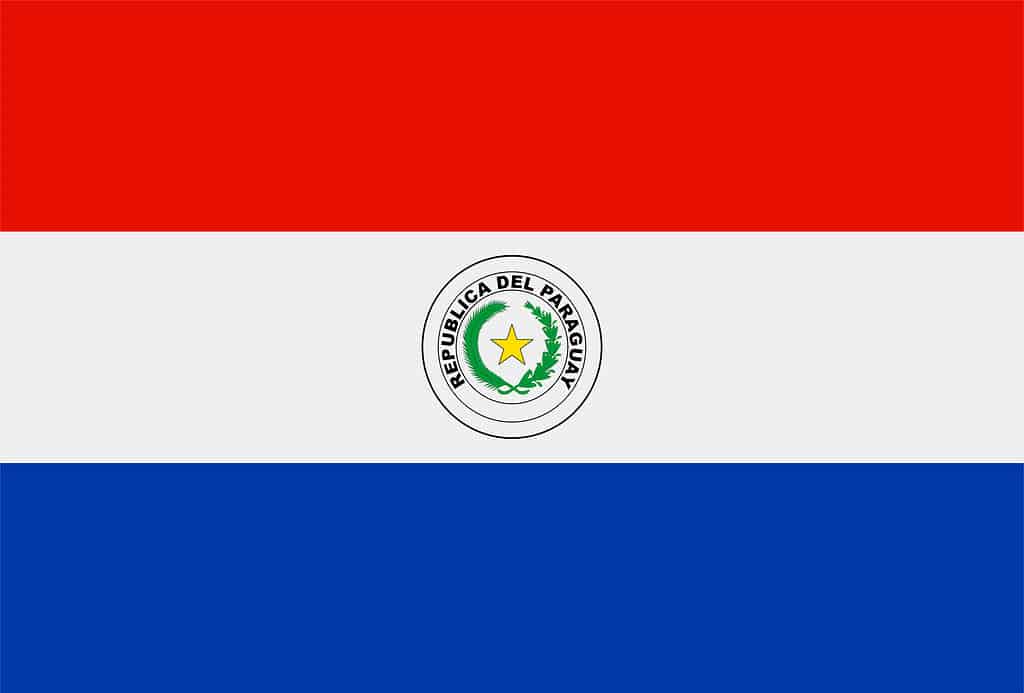 flag of Paraguay design