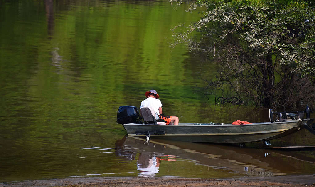 Fishing near vegetation