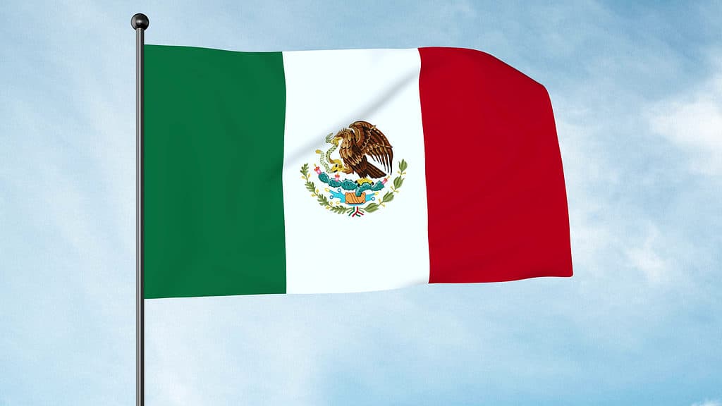 The flag of Mexico