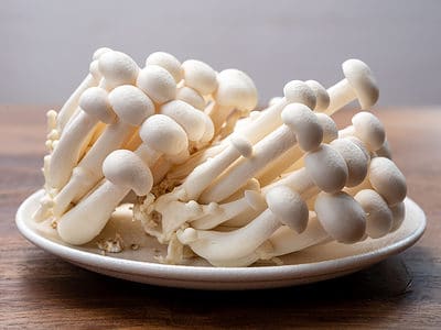 A Types of White Mushrooms