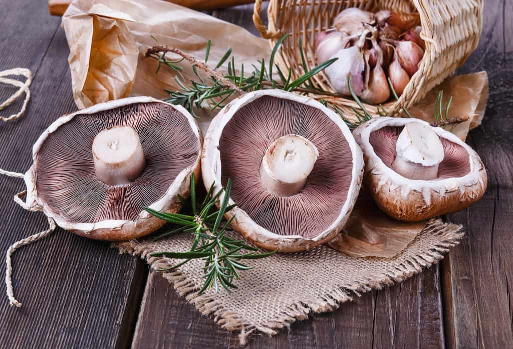 portobello mushrooms ready to be cooked