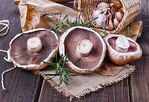 How to Store Portobello Mushrooms Picture