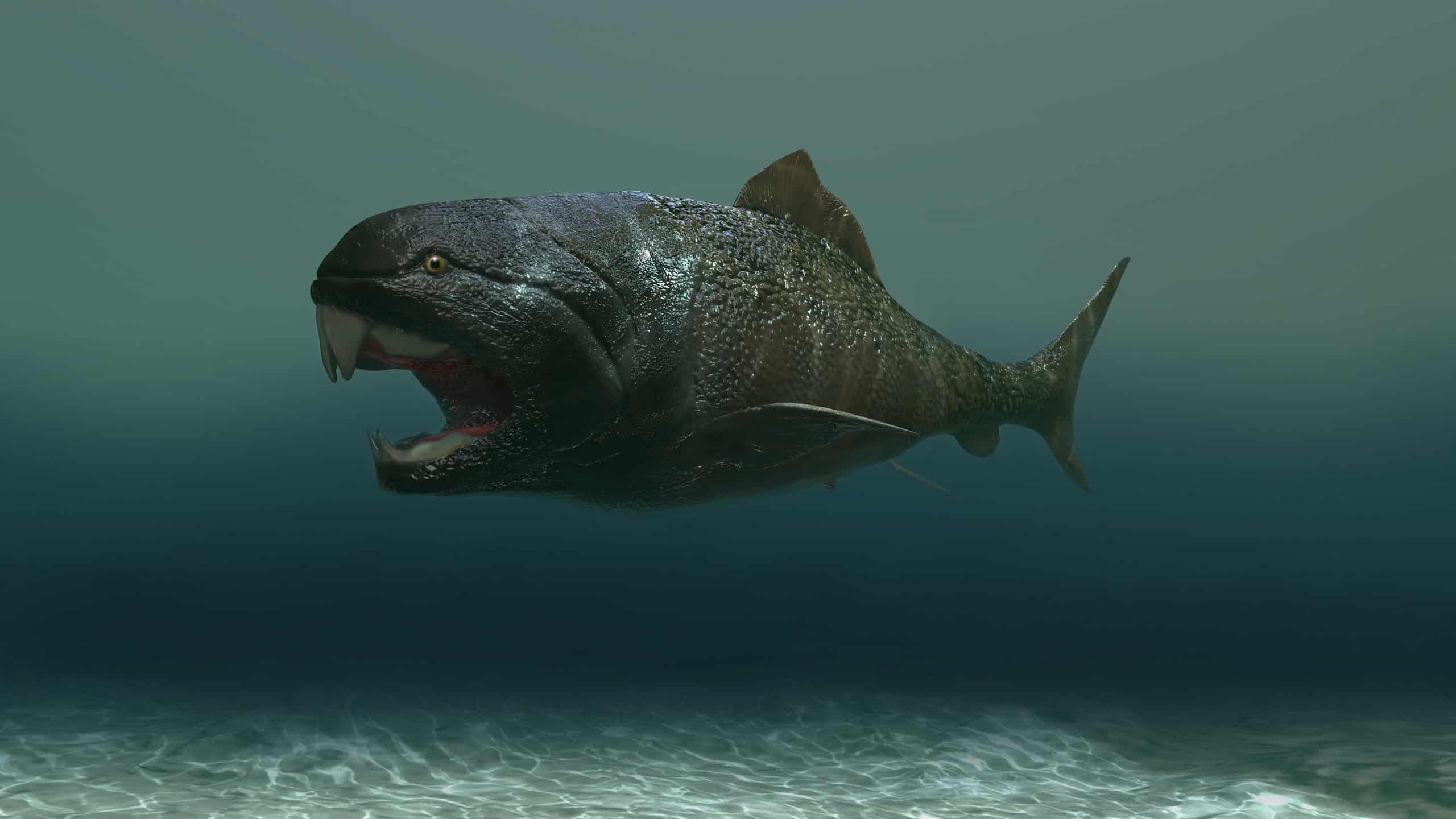 Dunkleosteus Animal Facts Dunkleosteus A Z Animals