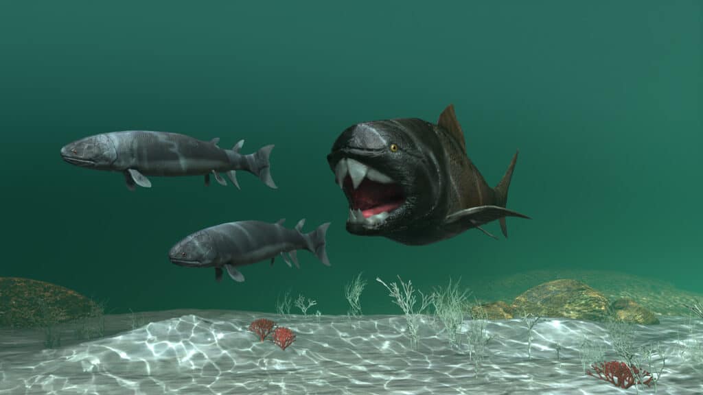 dunkleosteus size