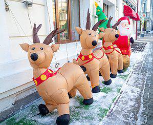 Watch a Bear Attack an Inflatable Christmas Reindeer Decoration Picture