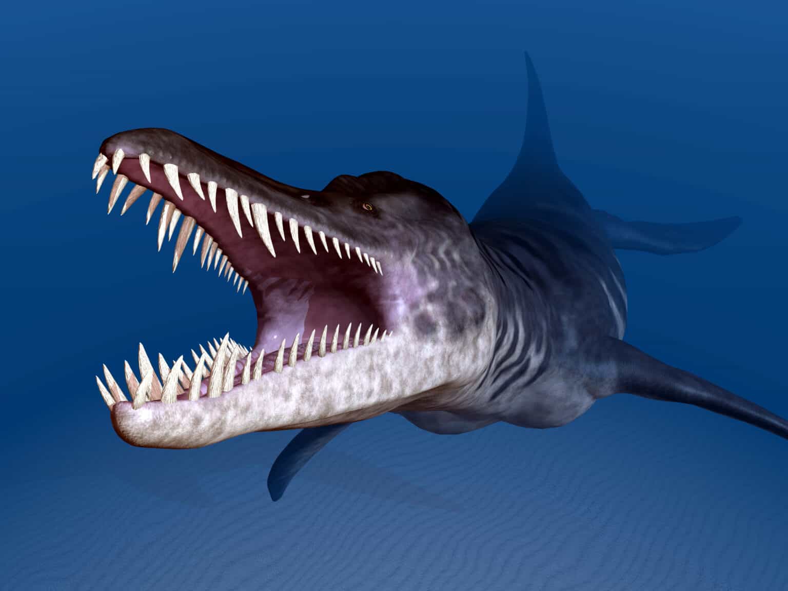 Liopleurodon Animal Facts - Liopleurodon ferox - A-Z Animals