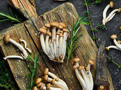 A Beech Mushrooms: A Complete Guide