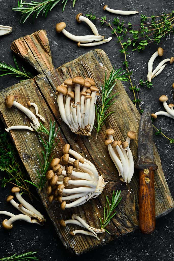 Brown beech mushrooms on a cutting board