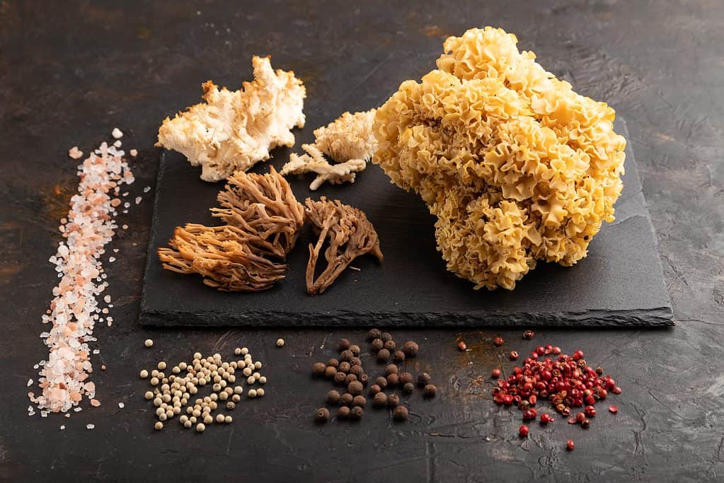 cauliflower mushroom on cutting board with spices