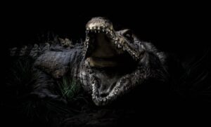 What’s the Oldest Crocodile Fossil Ever Found? Picture