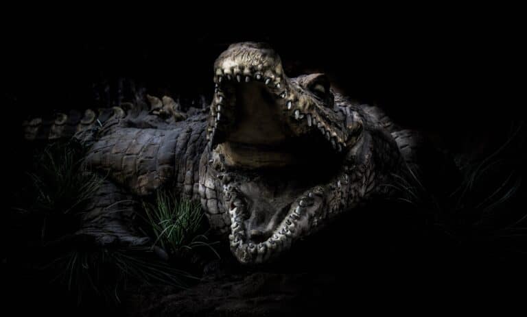 3D Rendering of Crocodile