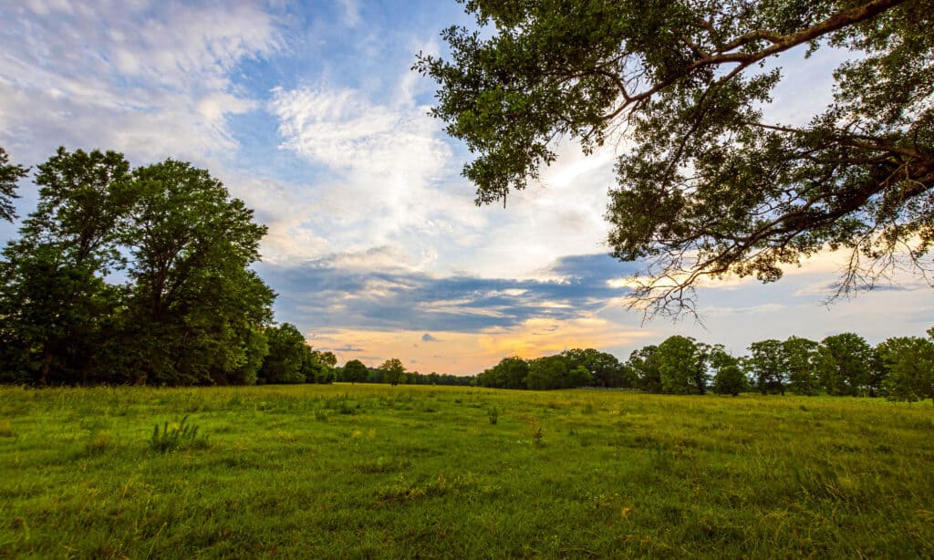 Peaceful country sunset