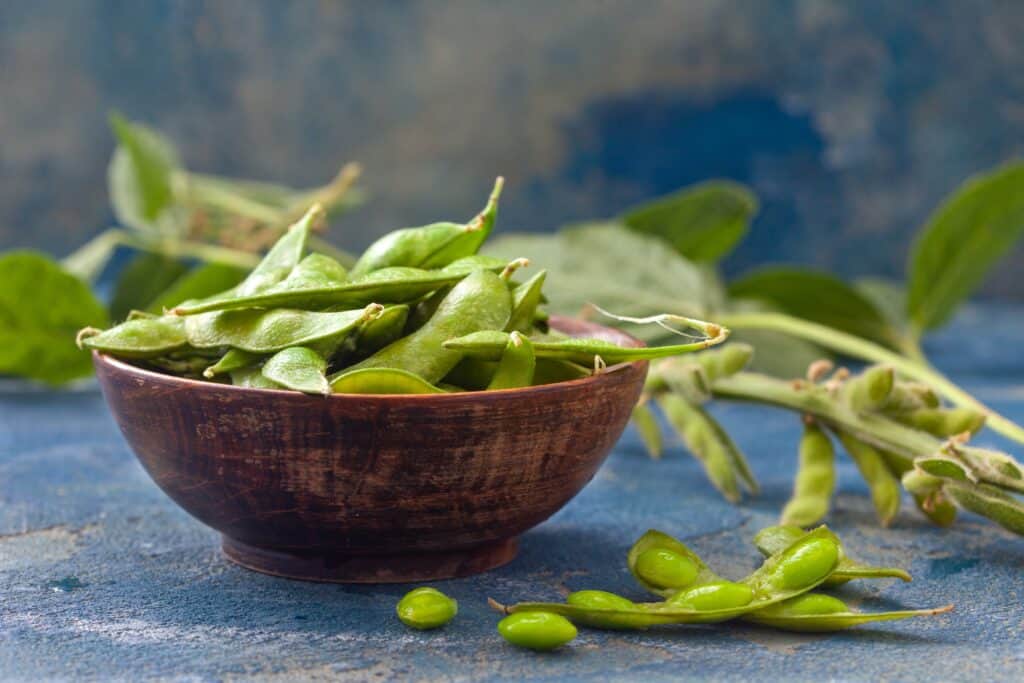 Raw Green edamame soybeans