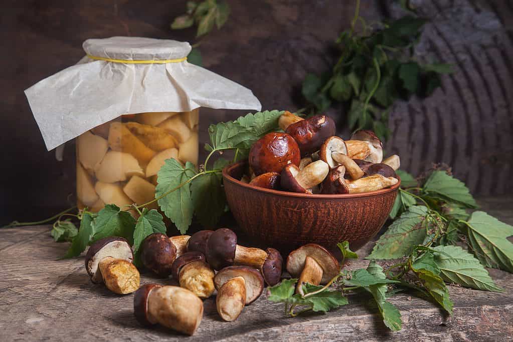 Bolete mushrooms in basket and jar