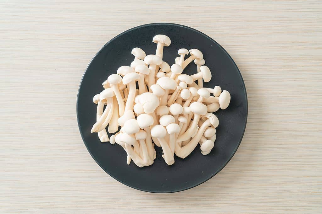 White beech mushrooms in a black dish