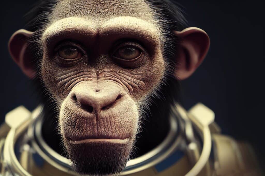 Chimp in Space