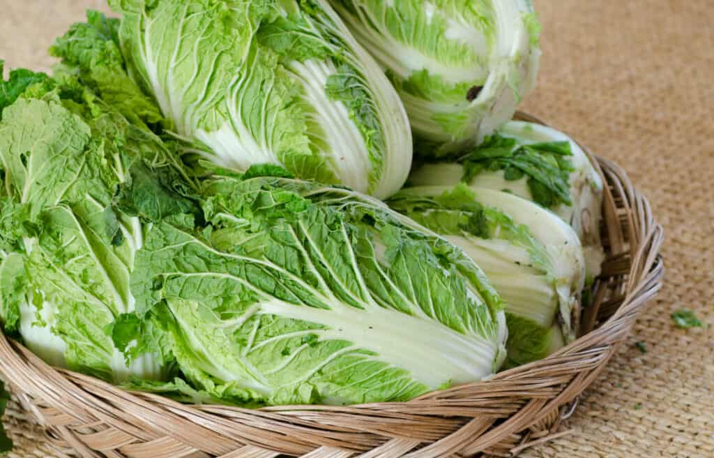several heads of Chinese cabbage mounded on a woven reed circular tray/plate. the cabbages are bright light green with whitish pronounced veins that are lighter, almost white.