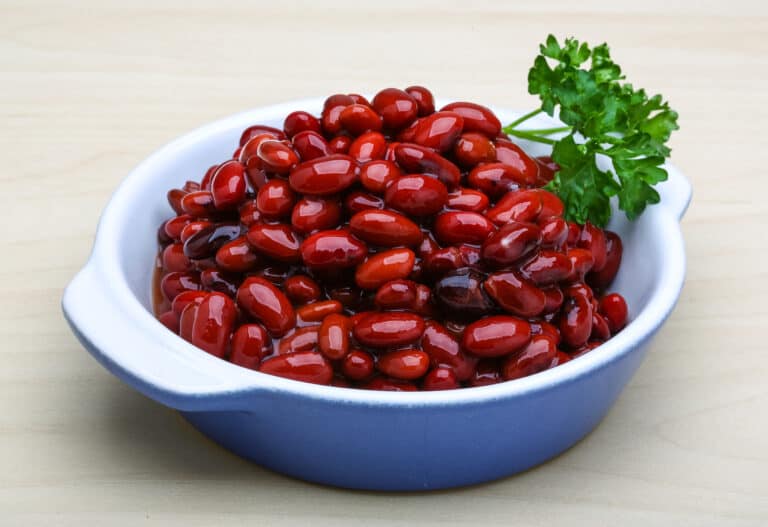 can-dogs-eat-kidney-beans-a-z-animals