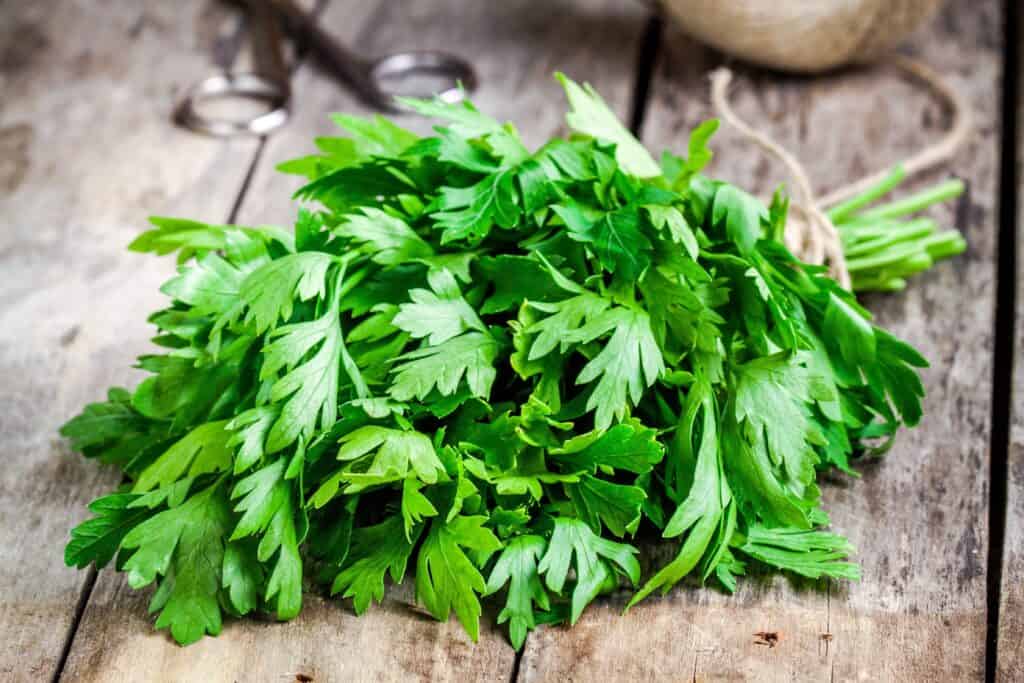 Parsley on a wooden table