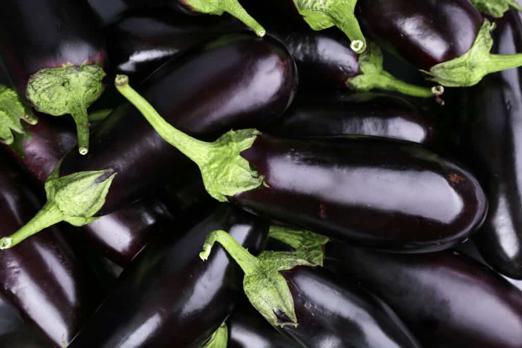 Pile of fresh eggplants.