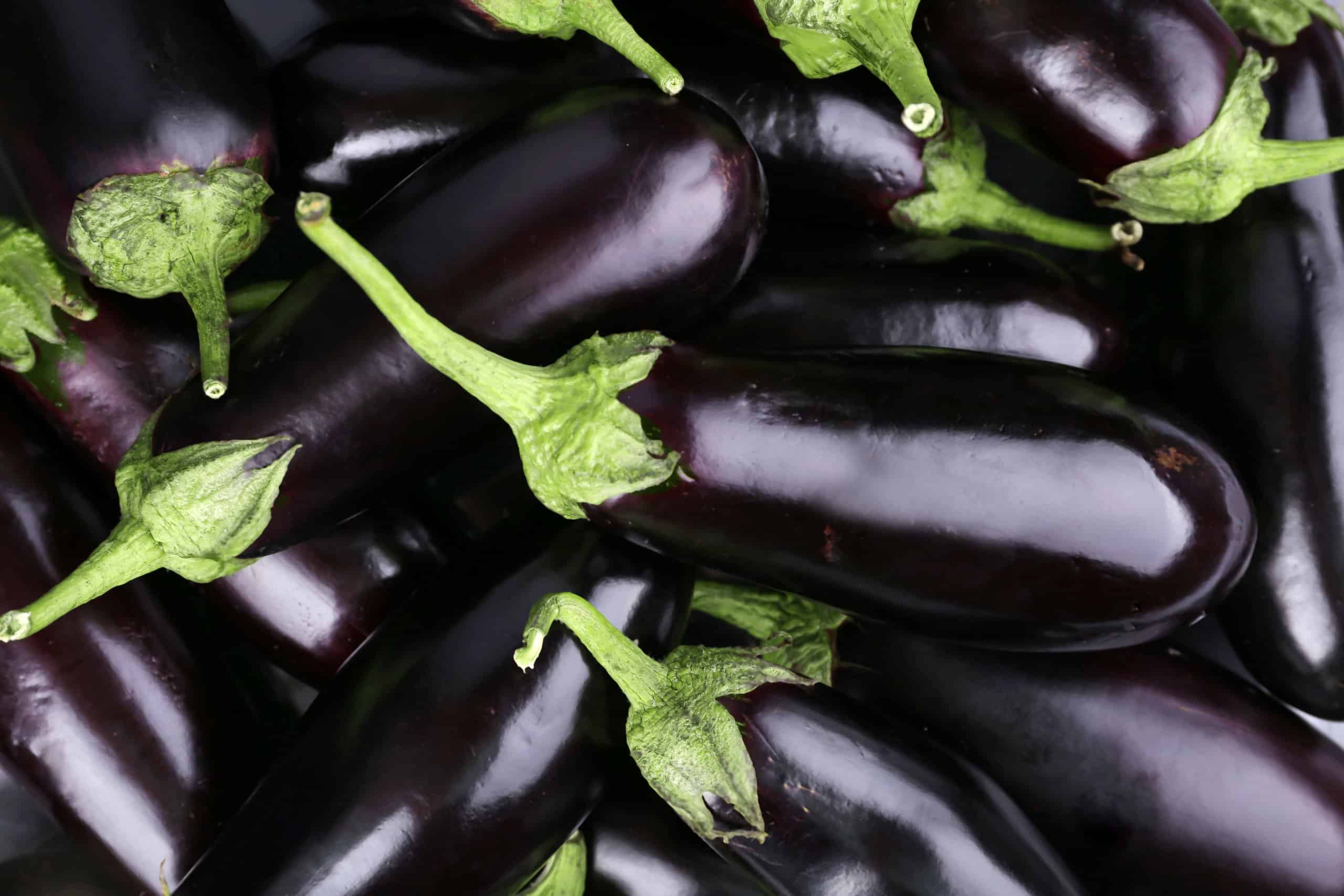 Eggplant Fruit Names At Donald Altman Blog