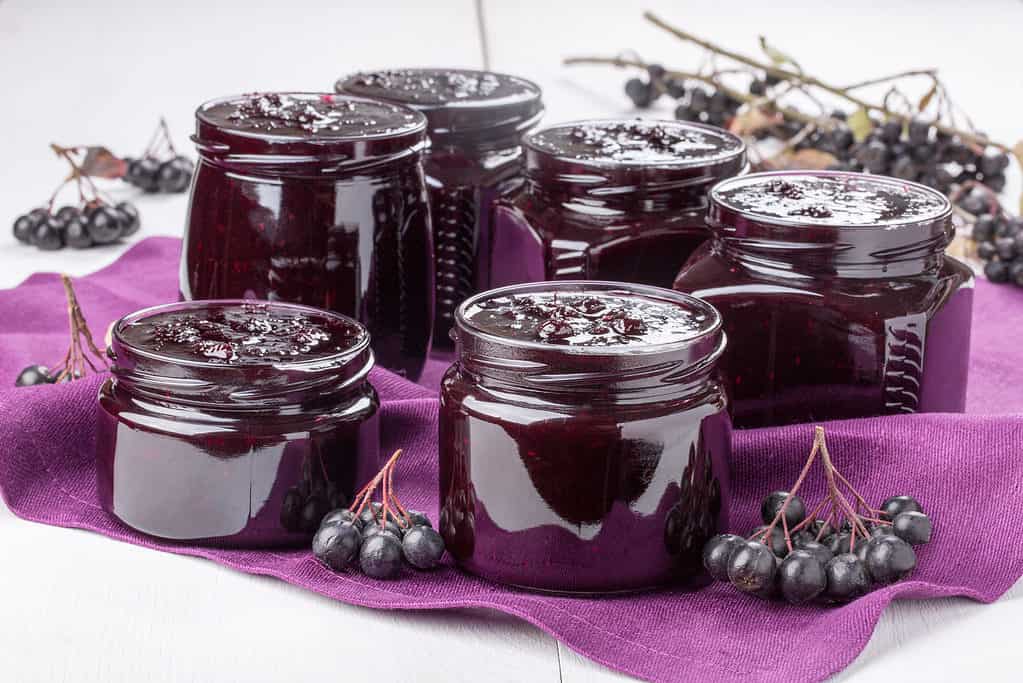 six open glass jars filled almost to the brim with dark purple aronia berry jam . The hard are pleasingly arranged  on a piece of  lighter [purple cloth upon which  clusters of fish aronia berries have been placed.White isolate background.