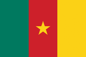 The Flag of Cameroon: History, Meaning, and Symbolism photo