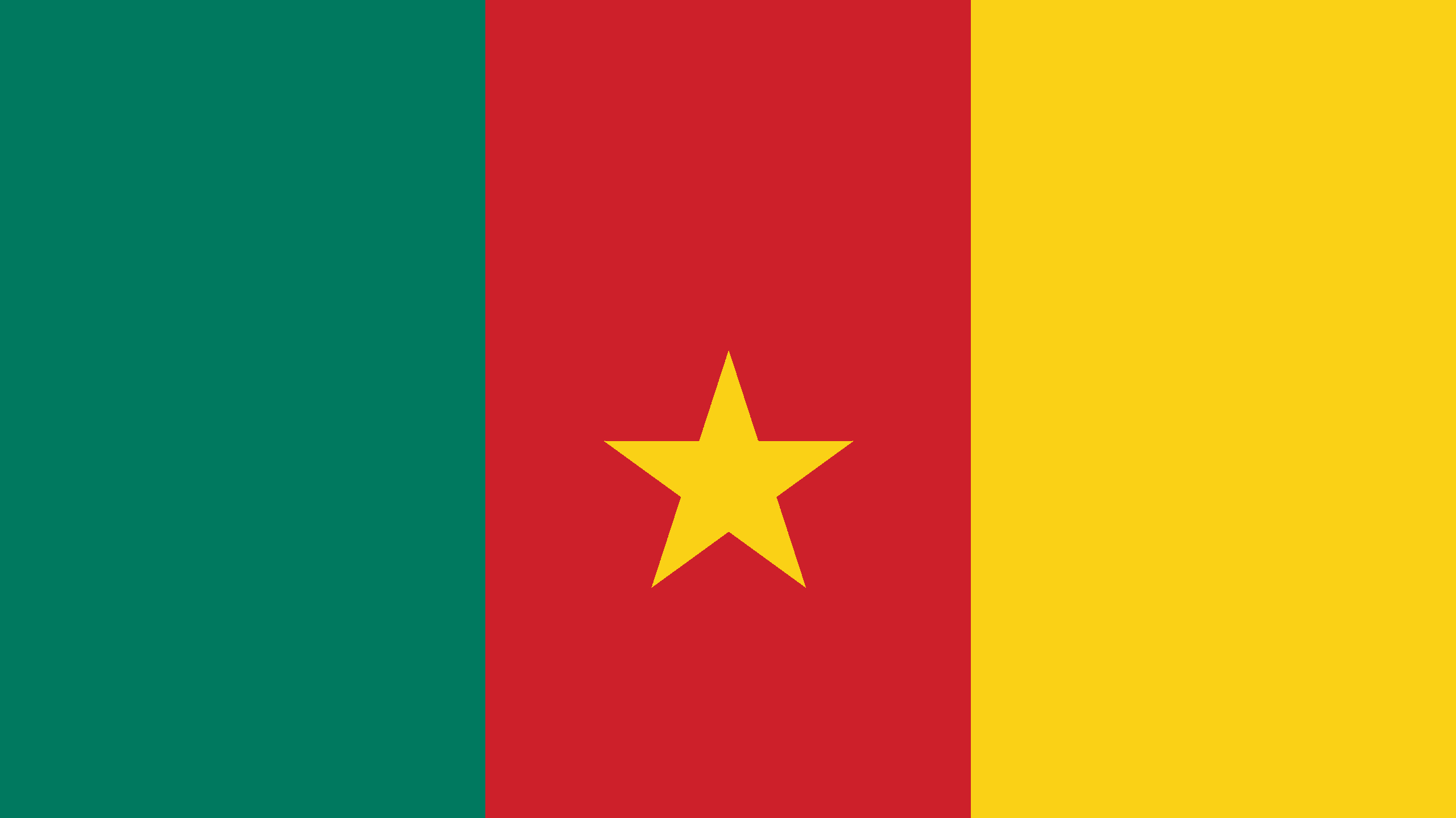 Flag of Cameroon, Colors, Meaning & History